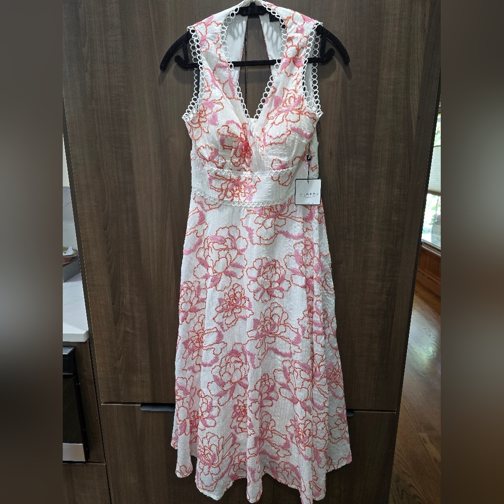 Floral Lace V-Neck Aline Dress - White and Pink Lace And Sequin NWT